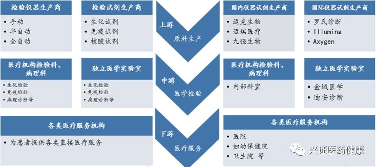 最新医药基金的崛起与挑战