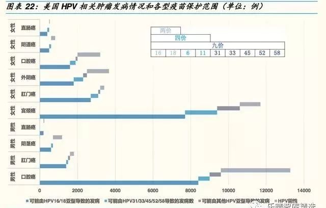 最新疫苗定价，挑战与机遇并存