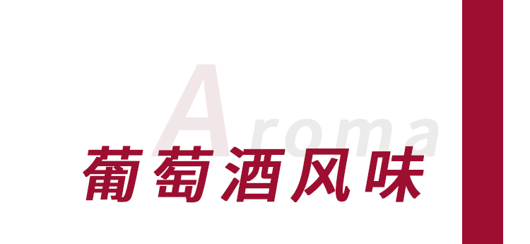 2024新澳六今晚资料-奇妙探索科技新趋势_冰爽型.5.332