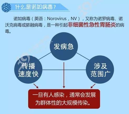 全国多地爆发诺如病毒-前沿解答解释落实_VIP0.914