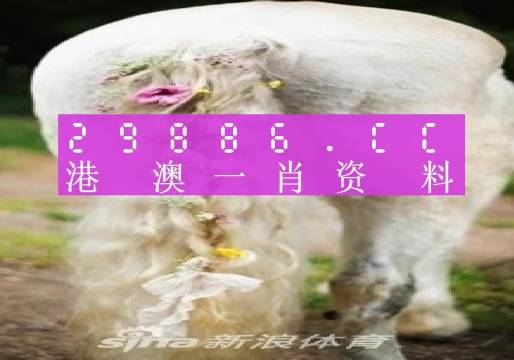 新澳门准一肖一码-智慧与策略的完美结合_探险集.1.316