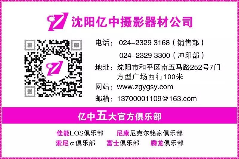 2024新澳好彩免费资料-探索城市的秘密角落_初级型.5.295