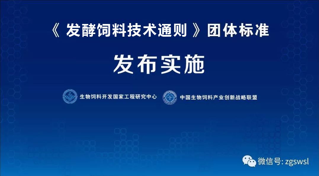 新澳期期精准资料-广泛的关注解释落实热议_内测版.4.971