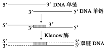 2024新澳开奖结果-解析关键问题的重要性与实施策略_实验版.6.954