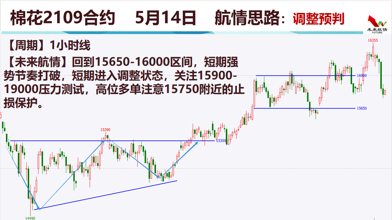 2024澳门特马今晚开奖图片-未来趋势解释落实_社交品.2.633